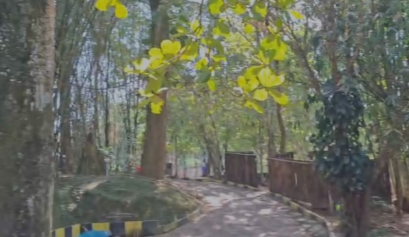 Resort For Rent/ Lease in Sulthan Bathery , Wyanad photo 2